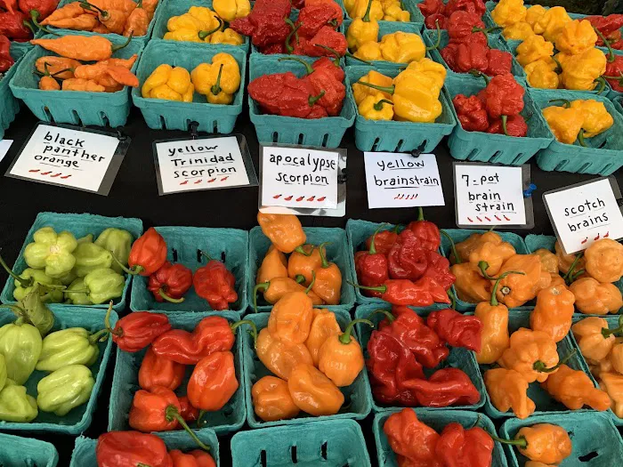 Thai Chili Food Truck Picture 3