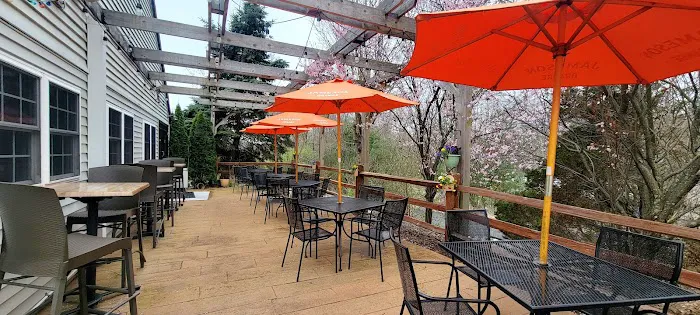 Thai Basil Picture 5