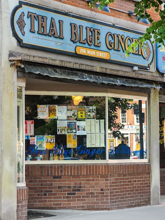 Thai Blue Ginger Picture 5