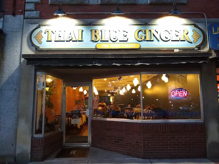 Thai Blue Ginger Picture 4