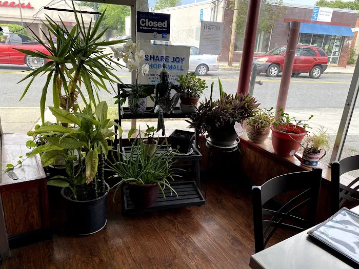 Thai Star Restaurant Picture 4