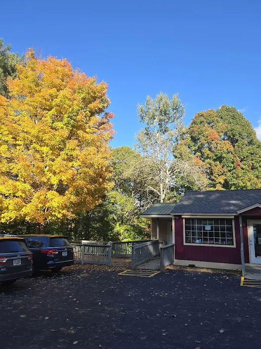 Thai Bamboo Exotic Thai Cuisine Picture 2