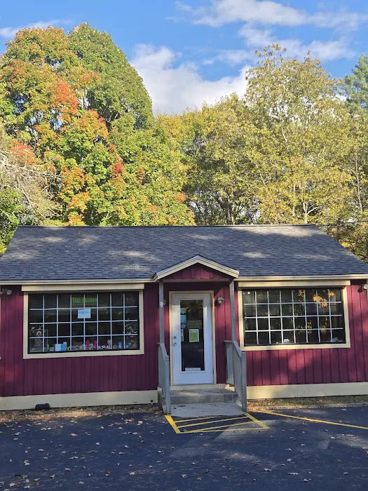 Thai Bamboo Exotic Thai Cuisine Picture 6