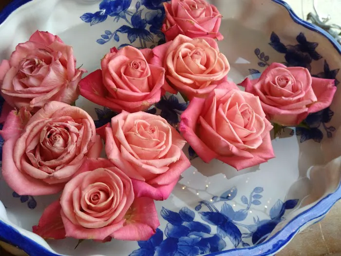 Sabai Sabai Picture 10