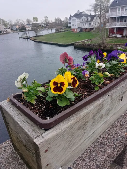 Waterside Thai Kitchen Picture 4