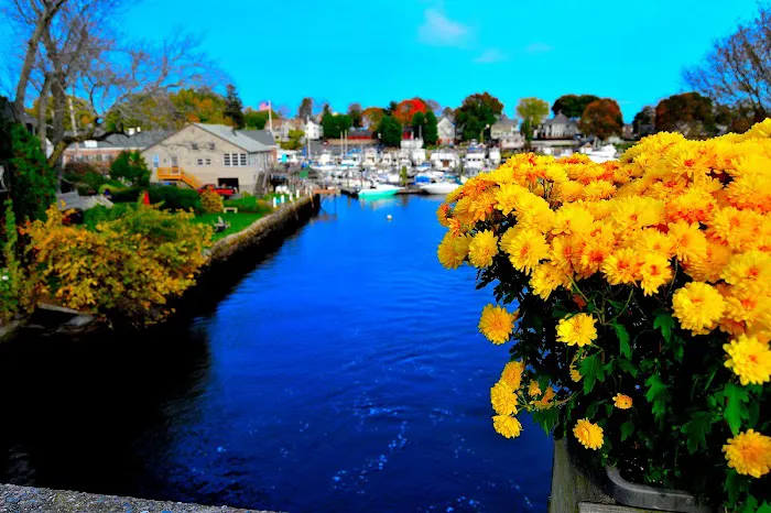 Waterside Thai Kitchen Picture 5