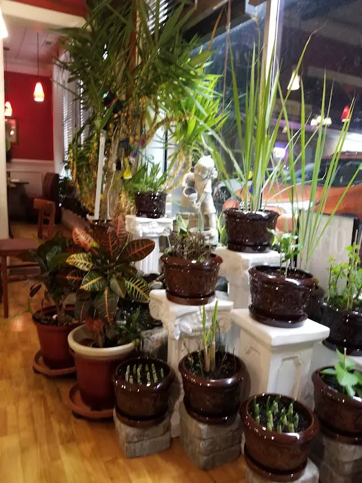 Thai Pepper Picture 4