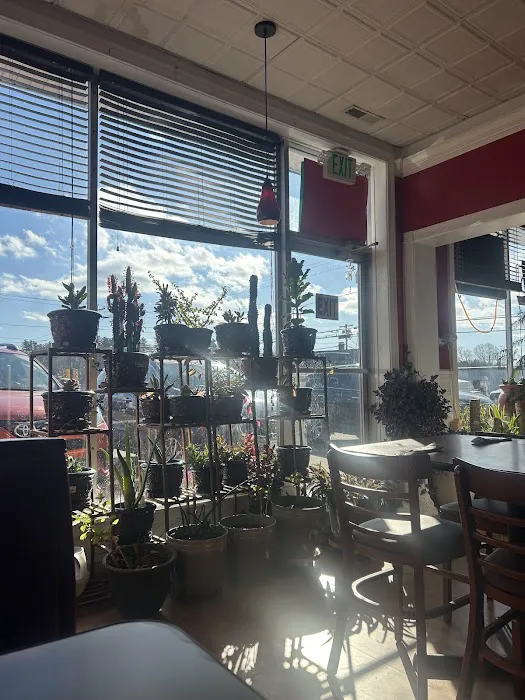 Thai Pepper Picture 7