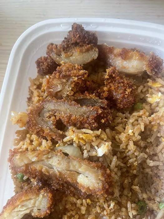 Coconut Newton Picture 10