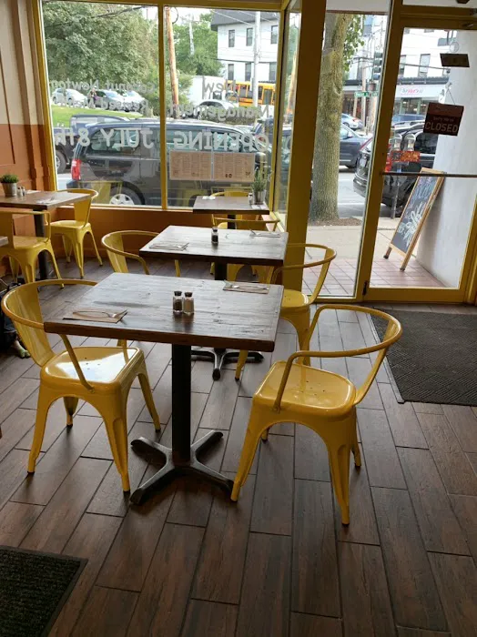 Coconut Newton Picture 9