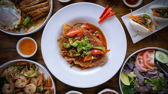 Coconut Newton Picture 6