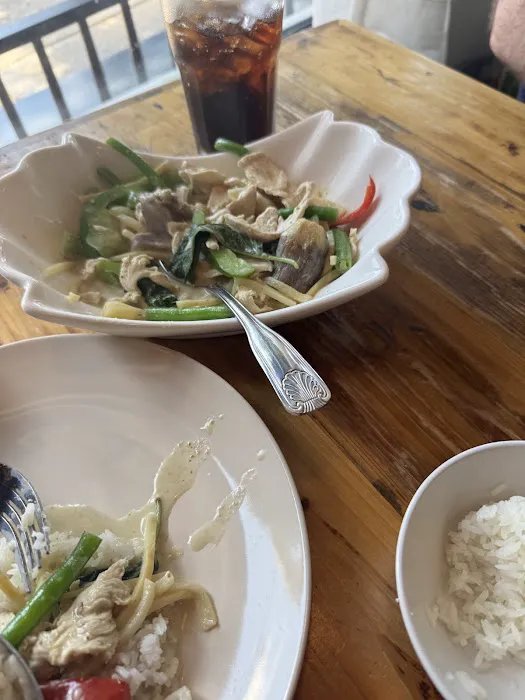 Coconut Newton Picture 7