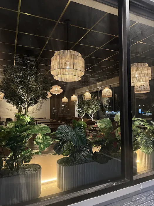 Machim House of Thai Food Picture 8