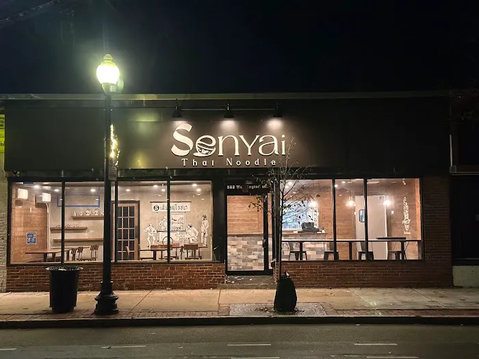 Sen Yai Thai Noodles Picture 6