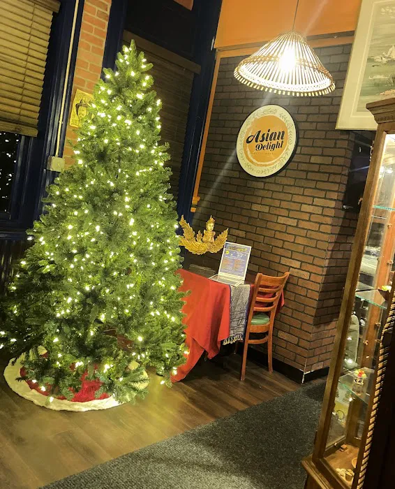 Asian Delight NH Picture 10