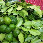 Thai Food Ingredient Spotlight: Kaffir Lime Leaves & Their Unique Aroma