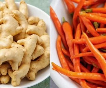 Thai Food Ingredient Guide: Galangal vs Ginger – Know the Difference