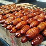 The Delicacy of “Meng Da” Bug Food Experience and Cultural Taste Guide