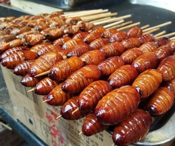 The Delicacy of “Meng Da” Bug Food Experience and Cultural Taste Guide
