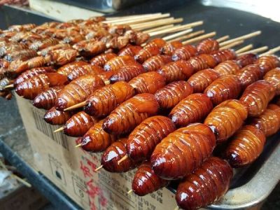 The Delicacy of “Meng Da” Bug Food Experience and Cultural Taste Guide